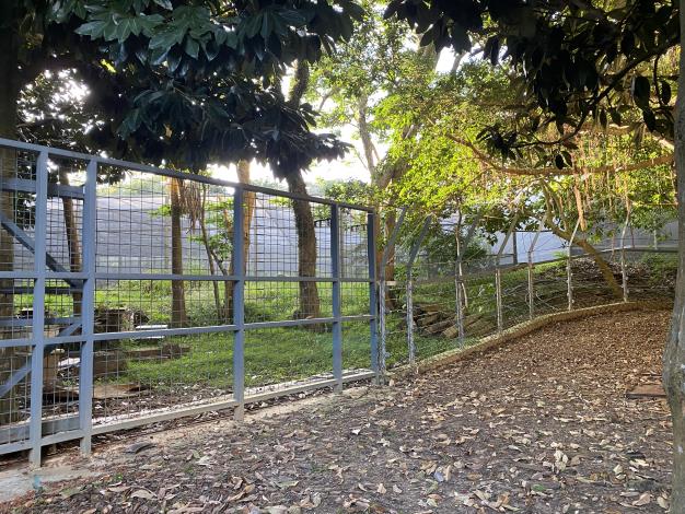 圖4、圍籬可有效保護植物免於梅花鹿啃食，現有圍籬雖然功能性佳但缺乏設計感