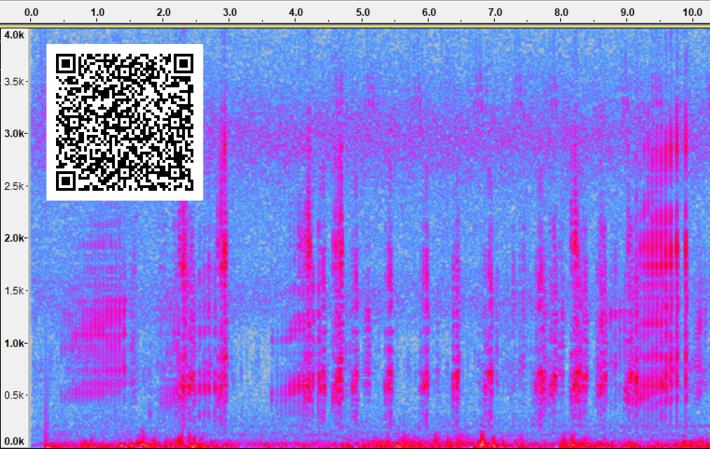 圖3.由頻譜分析圖可以發現，斑腿樹蛙具有連續性像機關槍的叫聲，是非常明顯的辨識依據。(可經由手機掃描QR Code下載叫聲聆聽)