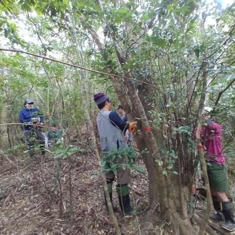 圖1.永久樣區每木調查需耗費大量大力與時間，但可提供可靠的經營建議