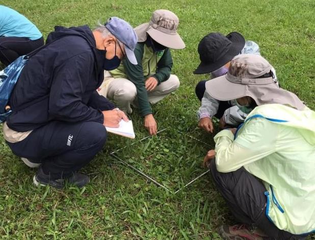 圖2：草地植物探索活動強調是科學素養的養成，老少皆宜