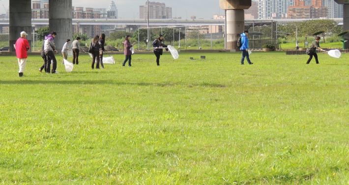 圖3：草地昆蟲探索活動適合校園操場草地