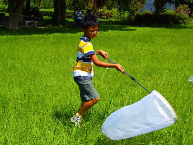 圖4：草地昆蟲探索活動