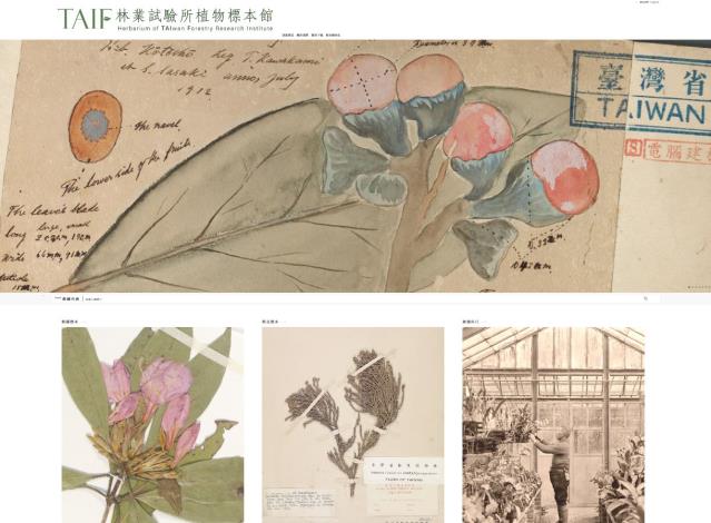 Plant specimen inquiry website of Taiwan Forestry Research Institute