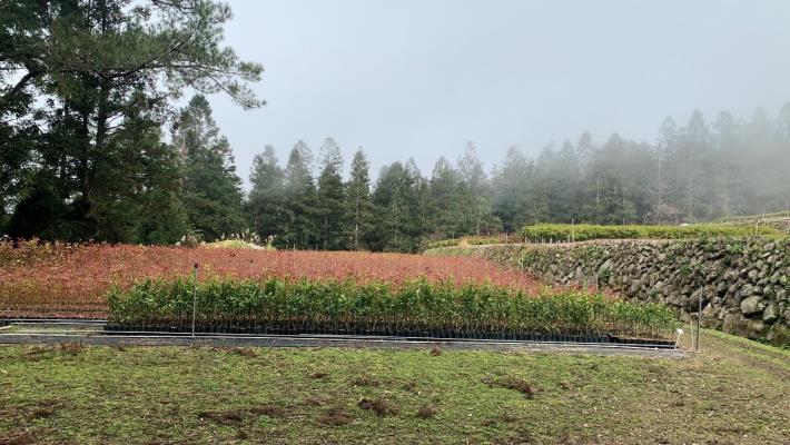 Chuyunshan Experimental Station