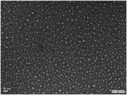 Fig. 2. Transmission electron micrograph of algal nano-cellulose