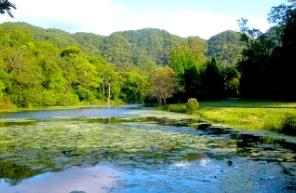 Fushan Botanical Garden
