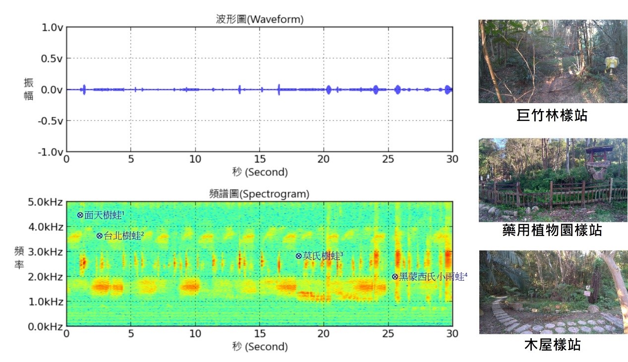 透過被動式的長期監測設備進行蛙類鳴聲的紀錄。