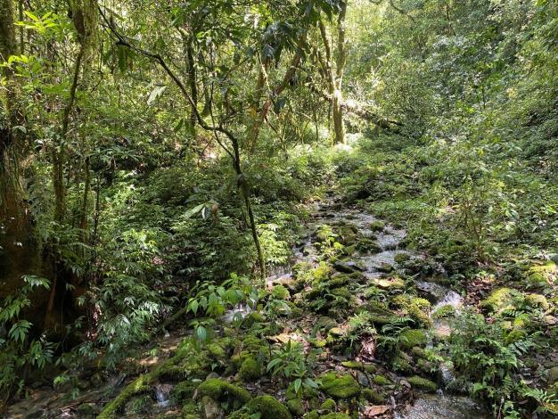 3. 福山試驗林為保存良好的原始低海拔森林溪流生態系。