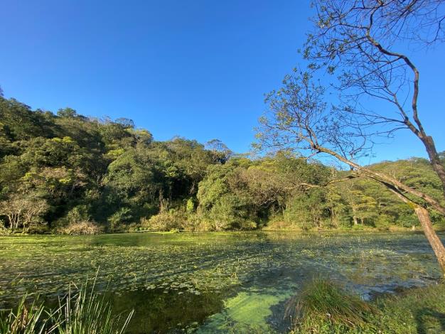 1. 福山試驗林的水生池是許多水鳥的停棲地。