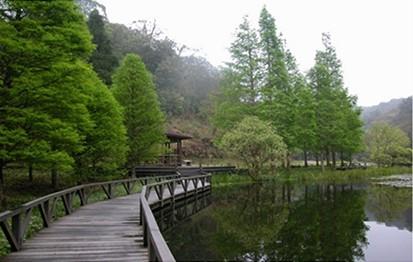福山植物園水生植物池及其周邊步道一隅