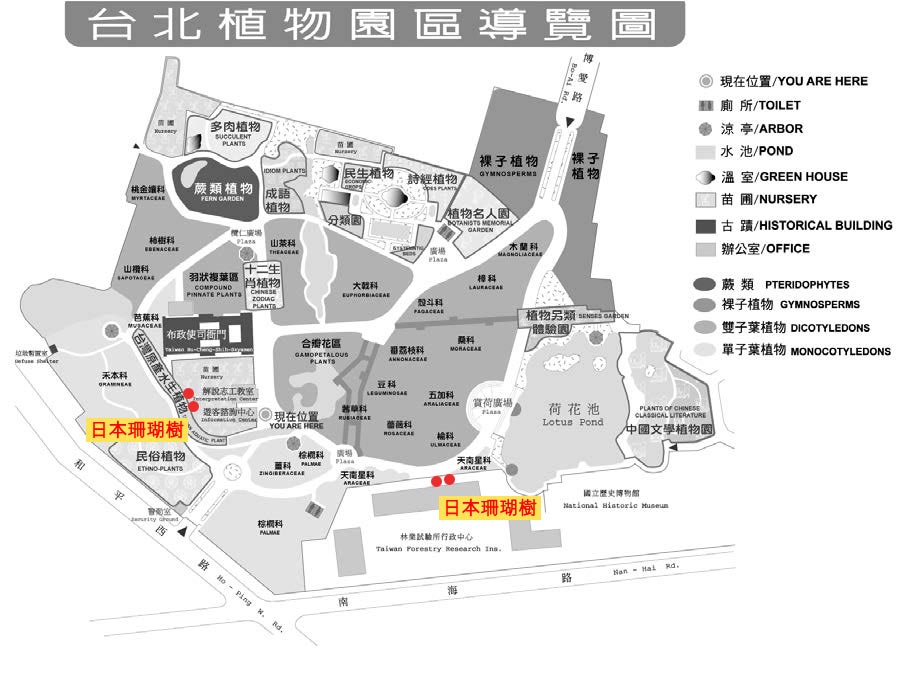 日本珊瑚樹-台北植物園位置圖