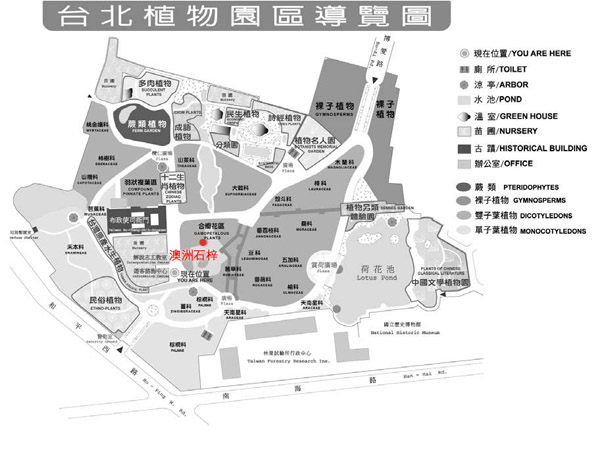 澳洲石梓-台北植物園位置圖