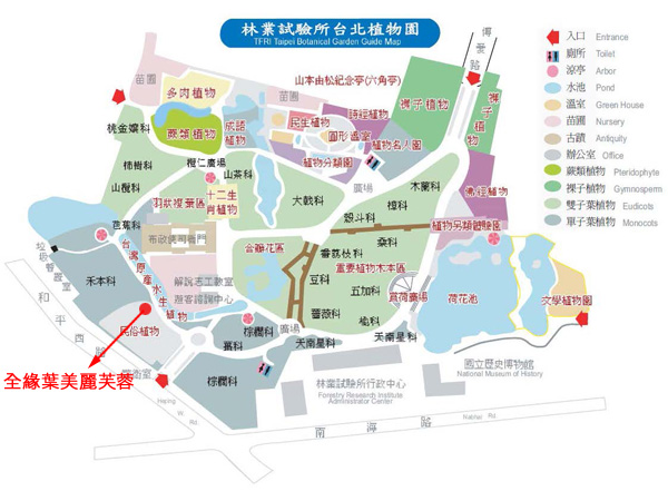 全緣葉美麗芙蓉-台北植物園位置圖