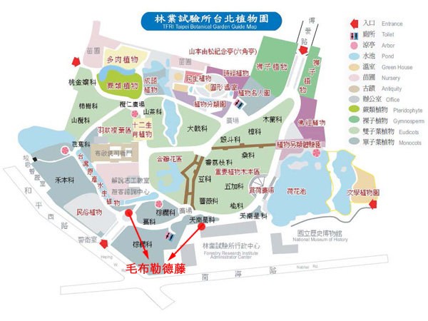 毛布勒德藤-台北植物園位置圖