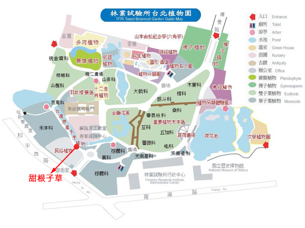 甜根子草-台北植物園位置圖