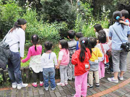 一群可愛的小朋友在老師的陪伴下，一邊高聲唱歌，一邊注視舞草的運動。