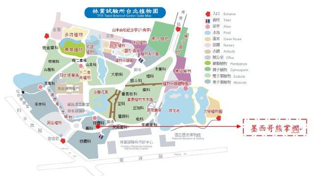 墨西哥熊掌櫚(熊掌櫚)-台北植物園位置圖