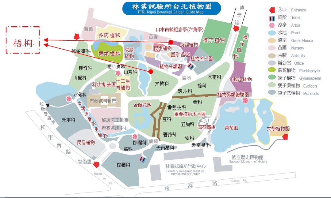 梧桐-台北植物園位置圖