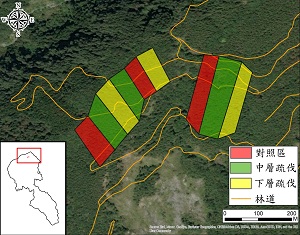 六龜試驗林疏伐試驗區的分佈位置圖，一共設置有9個試驗區，疏伐方式包含中層疏伐及下層疏伐，並設置有未疏伐對照組試驗區，以瞭解疏伐與未疏伐林地的差異。