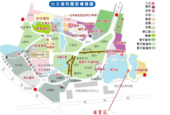 凌霄花-台北植物園位置圖