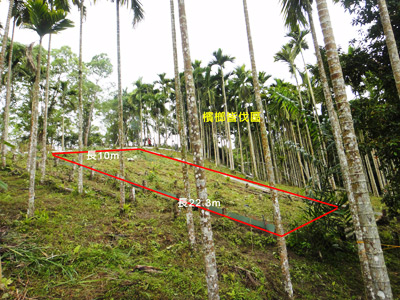 Fig. 4 Runoff and soil losses monitoring plot at Kalala demonstration site