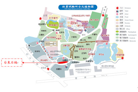 台東石楠於台北植物園所在位置