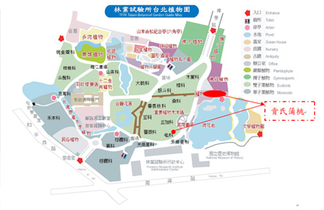 肯氏蒲桃於台北植物園所在位置