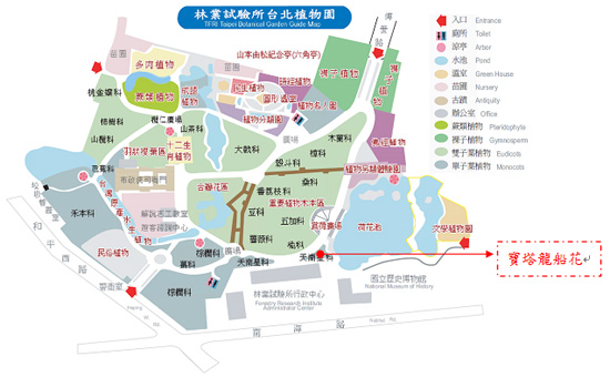 寶塔龍船花於台北植物園所在位置