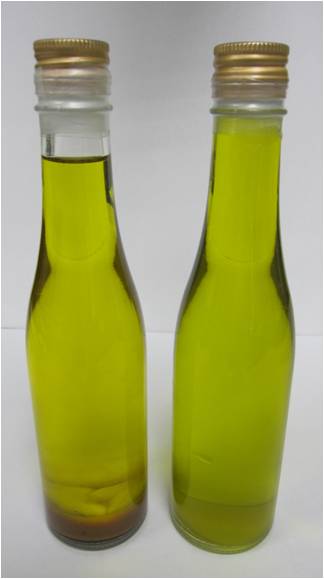 圖1. 不同壓榨過程之苦茶油可以有不同之風味、色澤及保存特性，右圖色澤較綠