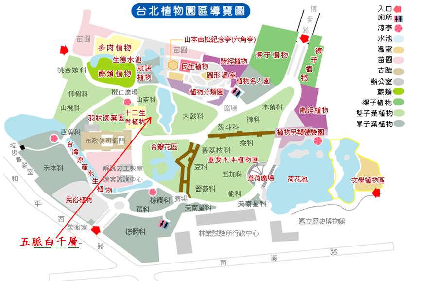 五脈白千層-台北植物園位置圖