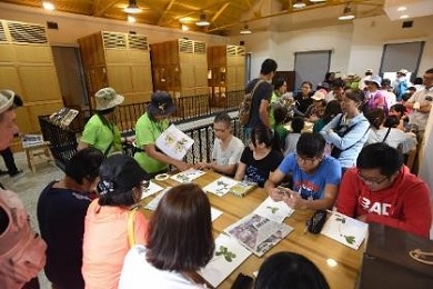 台北植物園志工於腊葉館內舉辦植物標本製作體驗活動