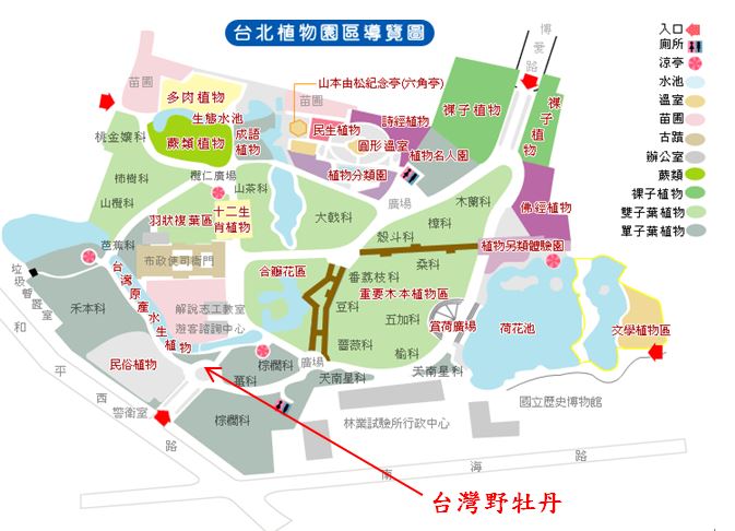 台灣野牡丹藤-台北植物園位置圖