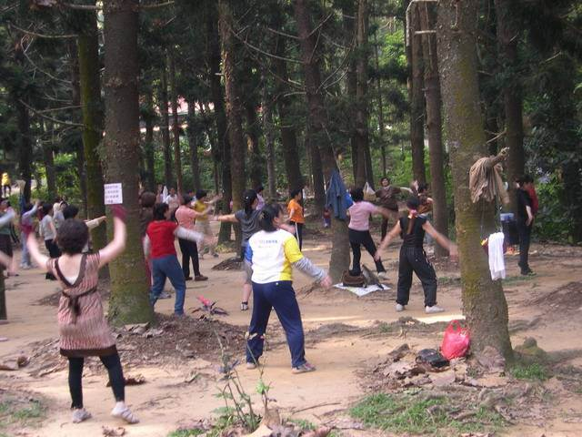 嘉義樹木園遭當地民眾踩踏之慘況