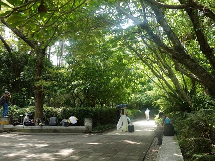 圖1. 夏日午后在台北植物園樹蔭下悠閒乘涼的民眾