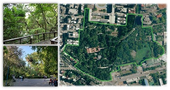 臺北植物園擁有高比例的多層次茂密森林覆蓋。