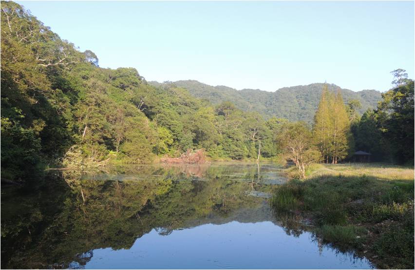 圖1.福山植物園水生植物池