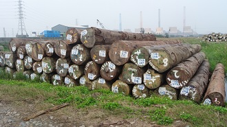 因國內原木生產量不足，需倚靠進口原木補足需求