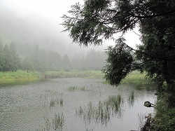 陽明山國家公園夢幻湖是自1971年臺灣水韭被發現以來唯一的天然生育地，目前被列為生態保護區亦是國家級重要濕地。