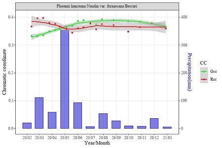 圖2 臺灣海棗在火燒後的恢復變化。詳情請洽:02-23039978#2500。Rcc = 相對紅度指標，一開始Rcc值較高表示臺灣海棗受火燒影響，隨著時間葉子生長，Rcc值亦隨之下降。