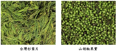 圖2. 添加於紙香皂之精油的原料為剩餘台灣杉葉片及山胡椒果實所萃取的兩種精油