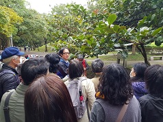 圖2.莊鈴木助理研究員帶志工學員在公園中辨識植物病蟲害痕跡