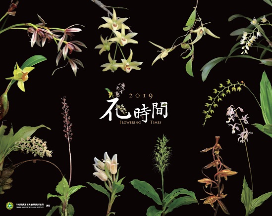 圖2、林試所108年花時間月曆以內頁12種臺灣原生蘭的植株為封面，營造出繽紛華麗的氛圍。