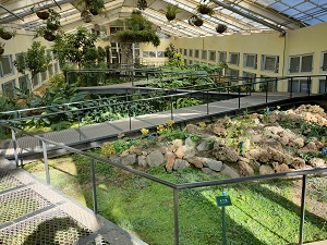 花榭溫室為一可施行適幅溫控(抽風)、穩定供水，並可營造乾溼不同棲地之斜坡型展示溫室；內建之之字形步道，有助於民眾多方位地觀察植物。