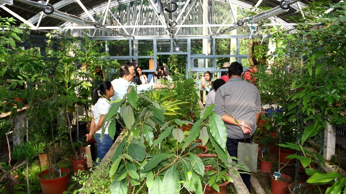 1-1臺北植物園地名溫室栽種來自全臺各地的特色植物，最能吸引國外訪賓的目光。