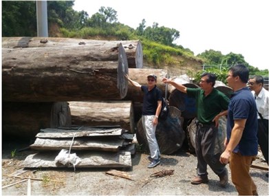 圖3、林試所團隊訪查國內業者，盤點林木資源之來源與流向
