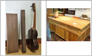 圖4. 左- 相思樹木材多重利用。右-臺灣杉製成書櫃
