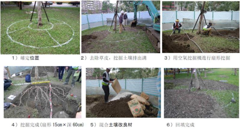 圖四、扇形面積土壤改良：台灣團隊ISA國際認證樹藝師(Certified Arborist)及日本樹木醫共同合作，執行土壤改良解決台灣土壤夯實問題。