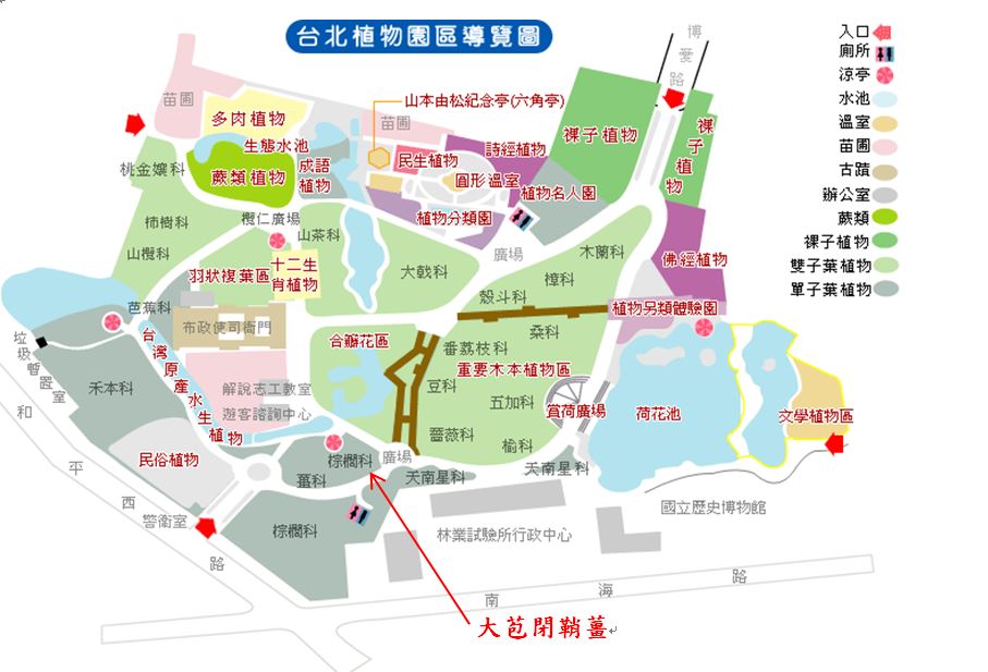 大苞閉鞘薑-台北植物園位置圖