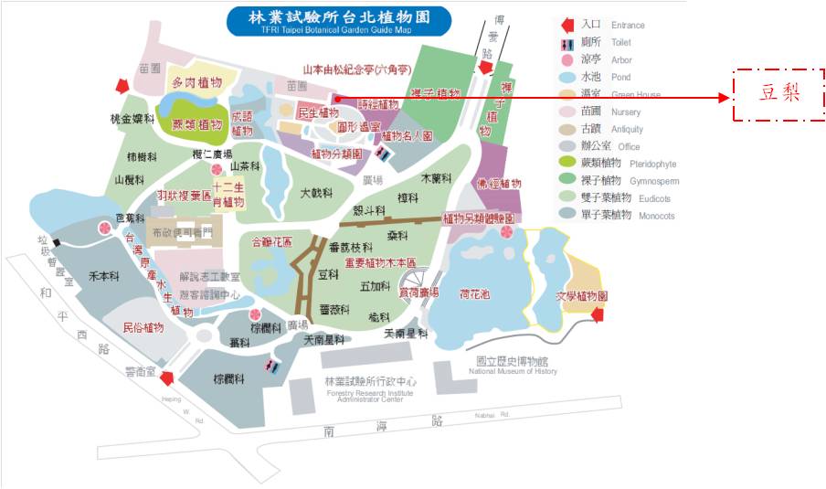 豆梨-台北植物園位置圖