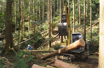 小面積中層疏伐技術試驗，提高國產材自給率，促進留存林木生長。
